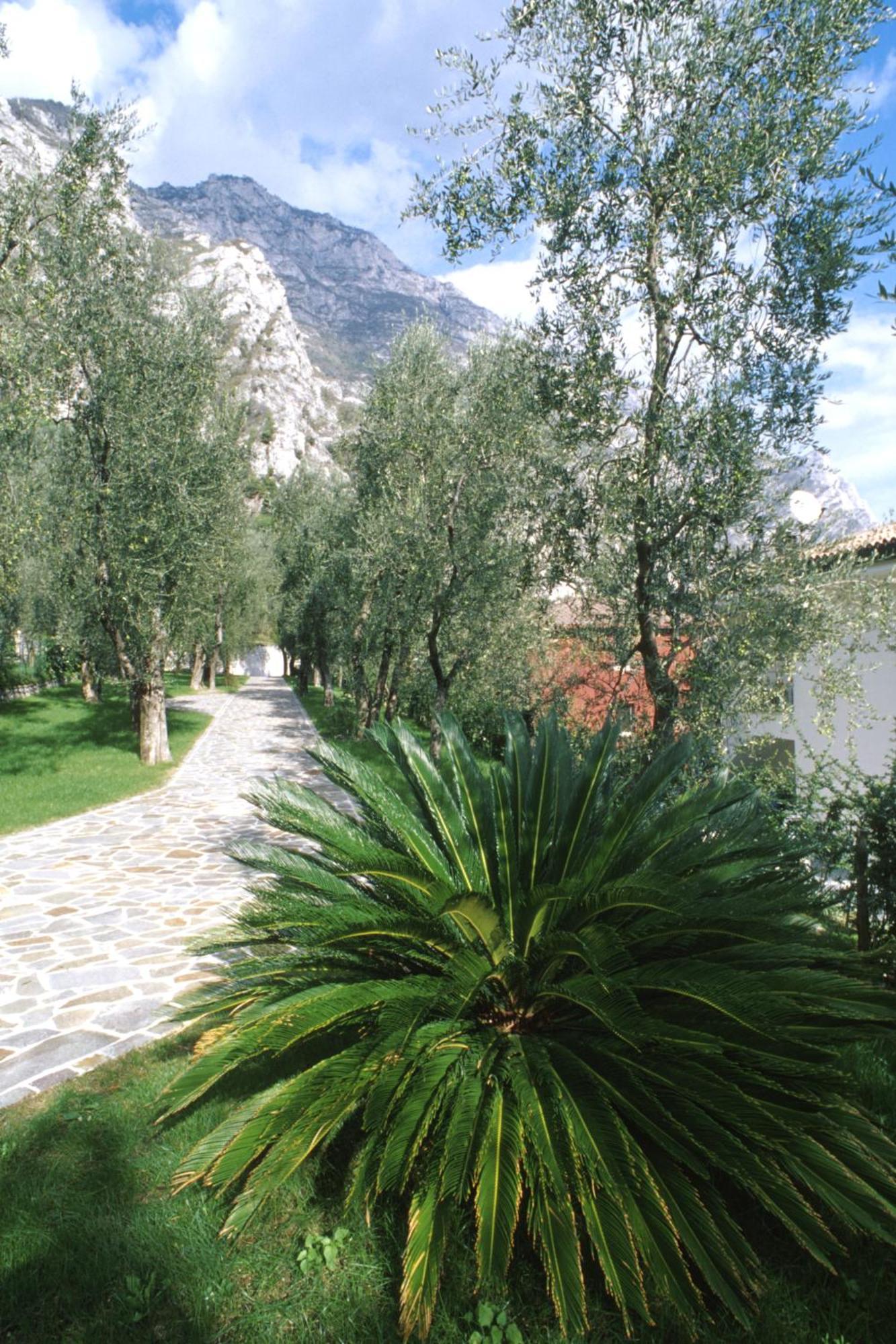 Hotel Ilma Lake Garda Resort ลีโมเนซุลการ์ดา ภายนอก รูปภาพ