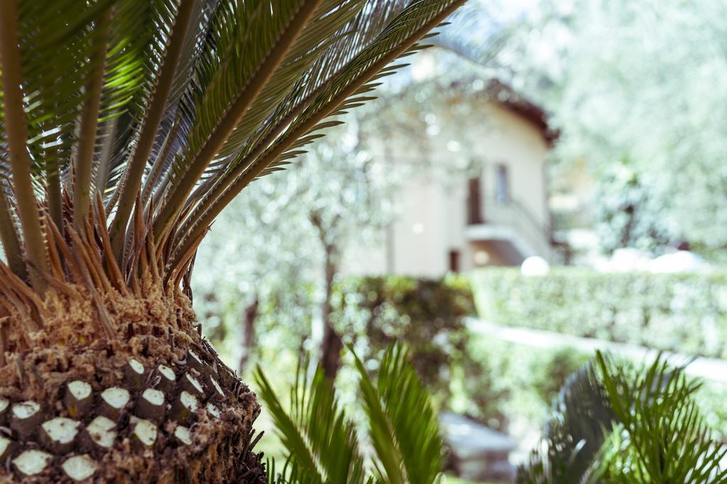 Hotel Ilma Lake Garda Resort ลีโมเนซุลการ์ดา ภายนอก รูปภาพ