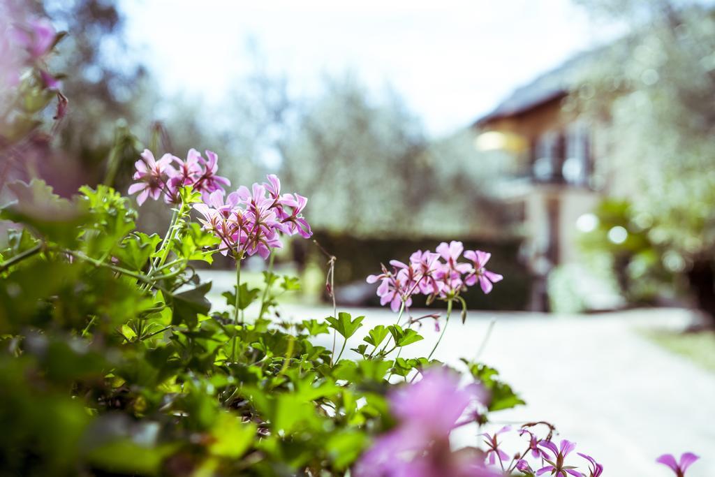 Hotel Ilma Lake Garda Resort ลีโมเนซุลการ์ดา ภายนอก รูปภาพ